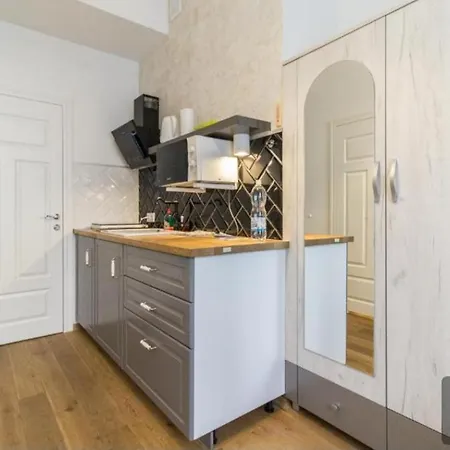 Nowy Kleparz Centrum Krakowa 아파트 *